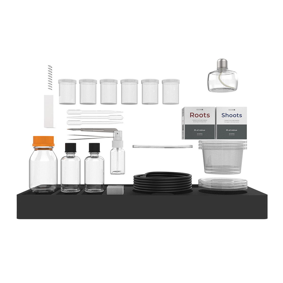Tissue Culture Kit 240V- English Athena - imagen 4