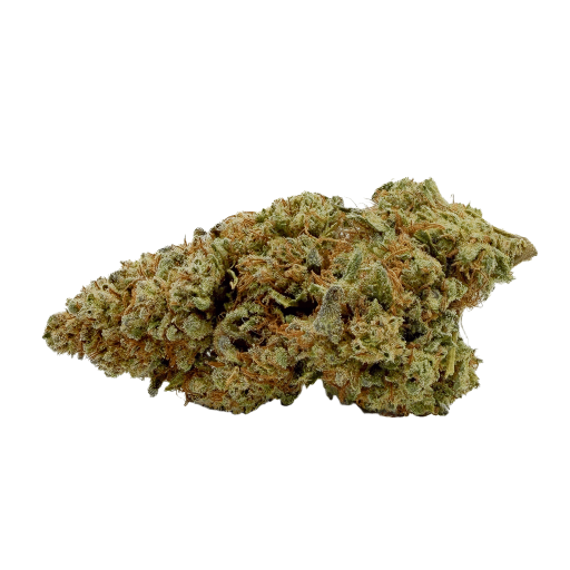 Lemon Tree