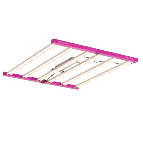 LED Cosmos Pro 720w Elite
