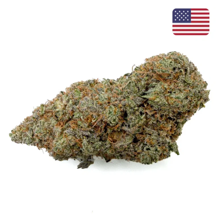 ButterCream Gelato CBD (Cali) Big Buds