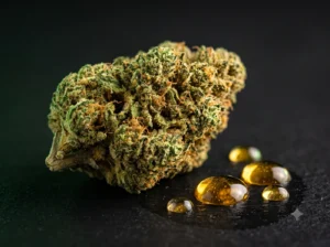 CBD en España: qué es, qué tipos de producto existen y qué dice la normativa