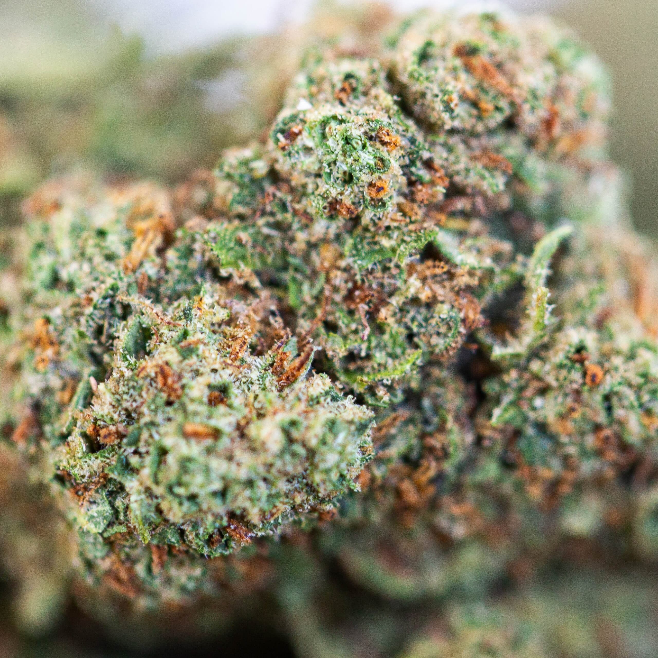 Zkittlez - imagen 2