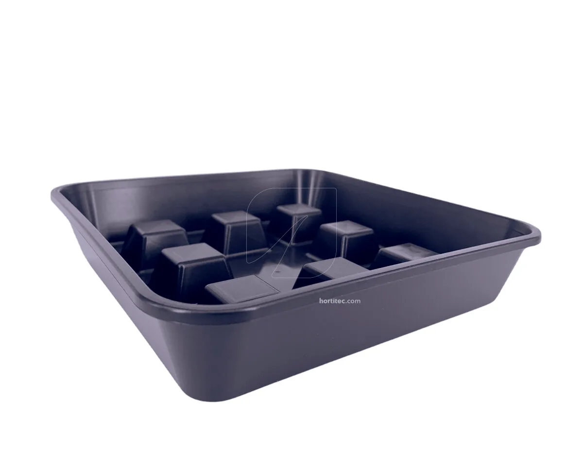 Plato cuadrado elevado 50 uds - Varios