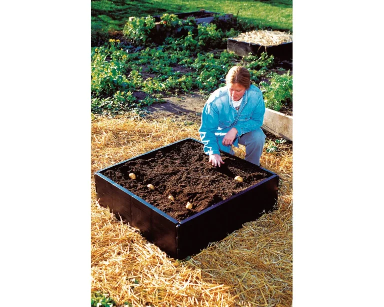Grow Bed 230 L (98 x 98 x 25 cm) - GARLAND