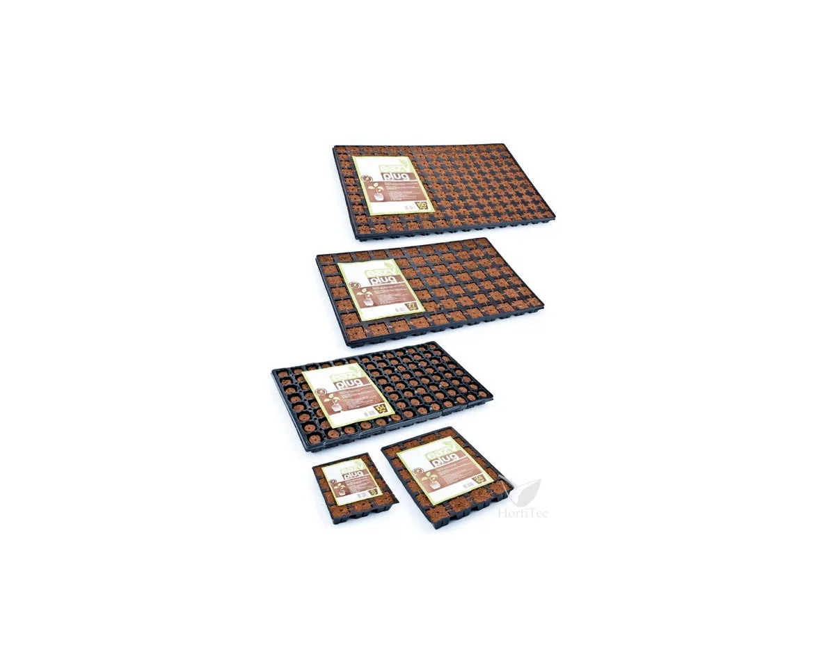 Bandeja Dried Eazy Plug (3,5 x 3,5 x 3 cm) 12 alv HGA - HGA