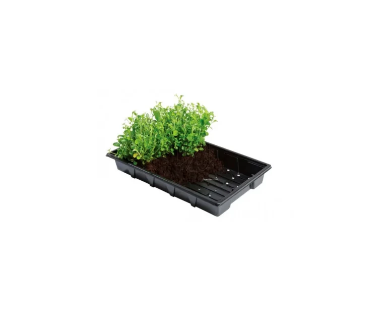 Bandeja Profesional 37 x 23,5 x 5 cm con agujero Garland - GARLAND
