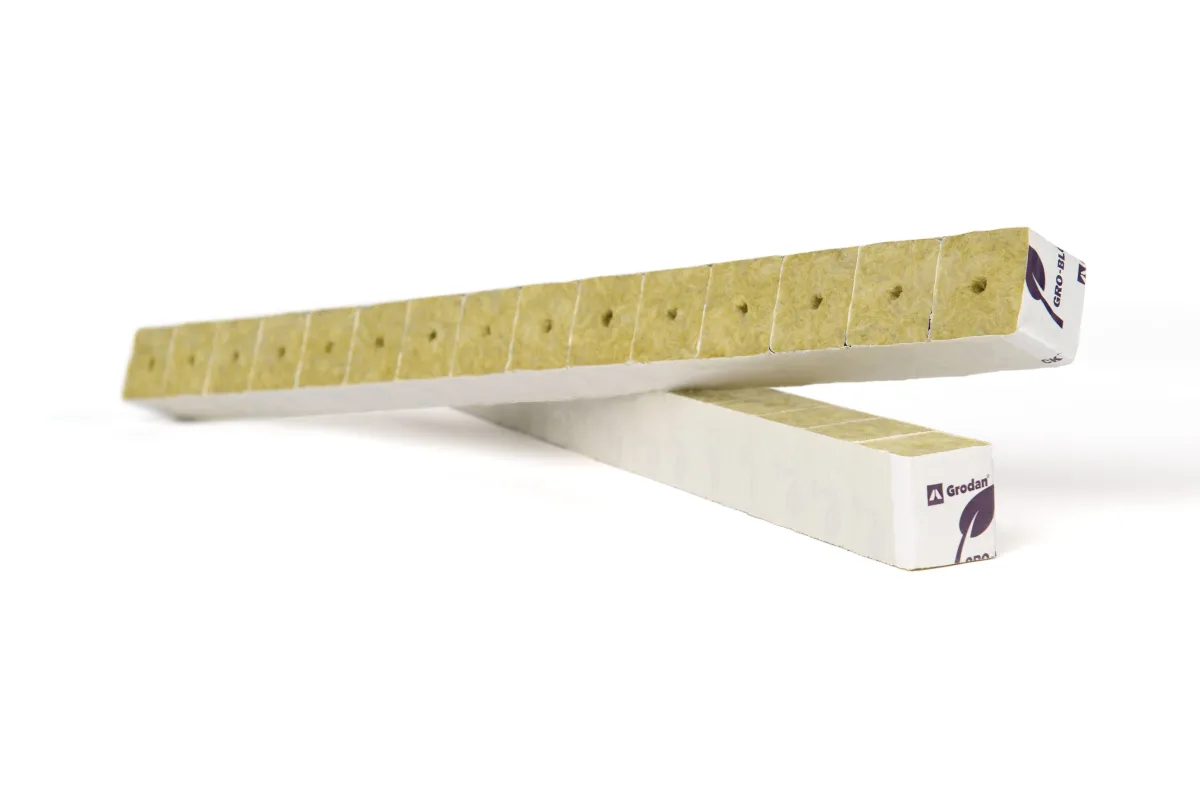 Mini bloque 40 x 40 x 40 mm Improved Grodan - GRODAN