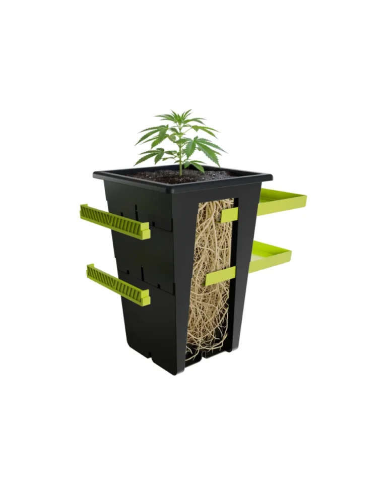 Replant - Varios