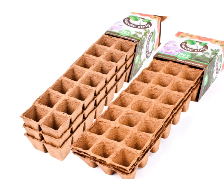 Woodee Strip (5 x 5 cm) (60 uds) HGA - HGA