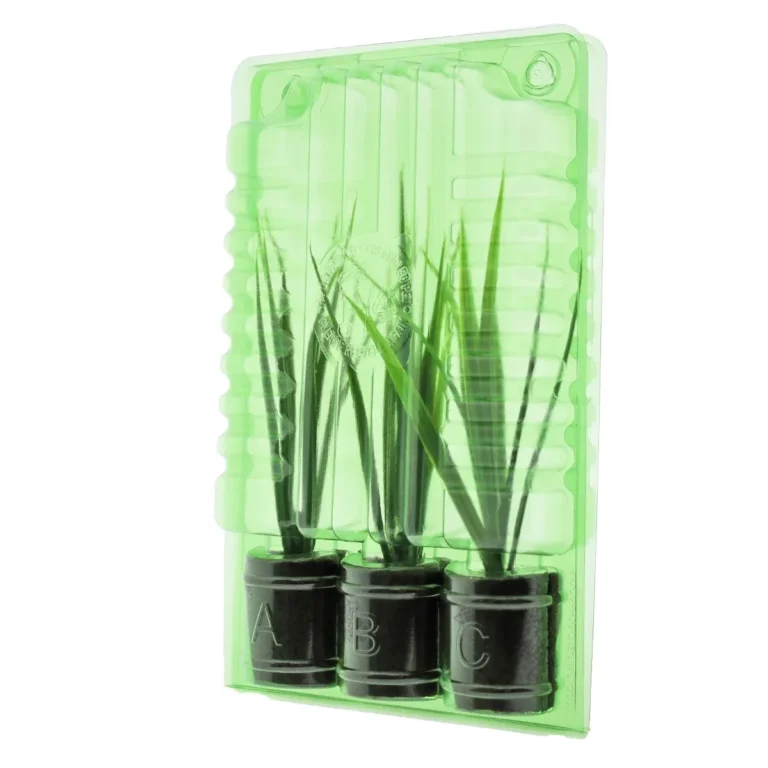 Funda de transporte para 3 esquejes Ø38 x 50 mm – Altura 18 cm (1 ud.) - Varios