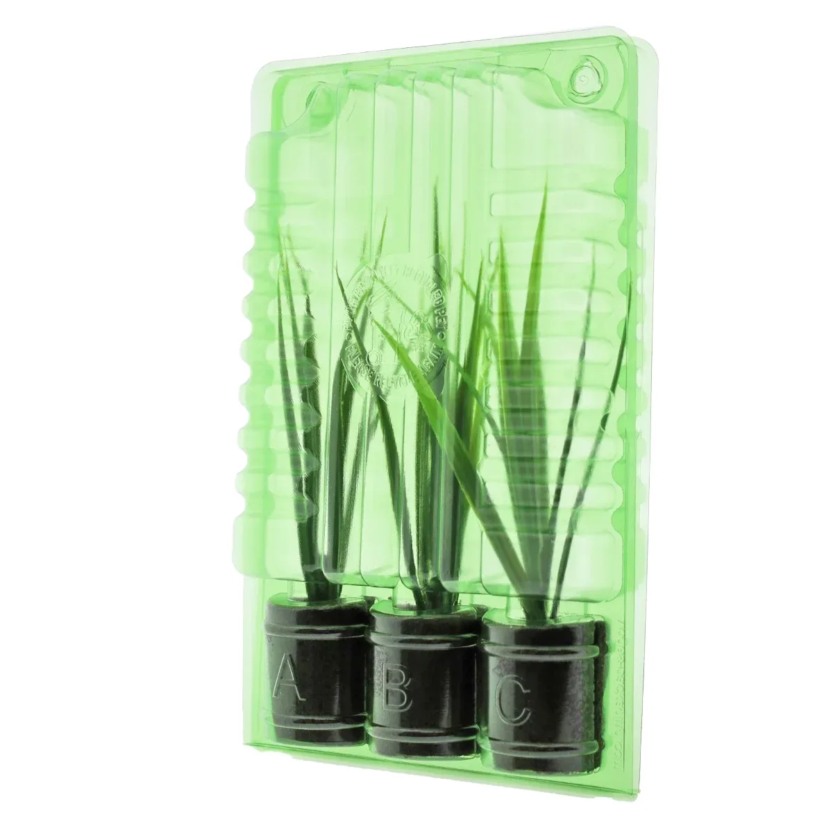 Funda de transporte para 3 esquejes Ø38 x 50 mm – Altura 18 cm (1 ud.) - Varios