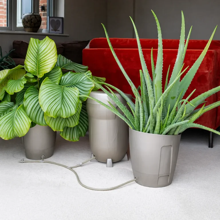 Khloris watering system (completo) morado Autopot - Autopot™