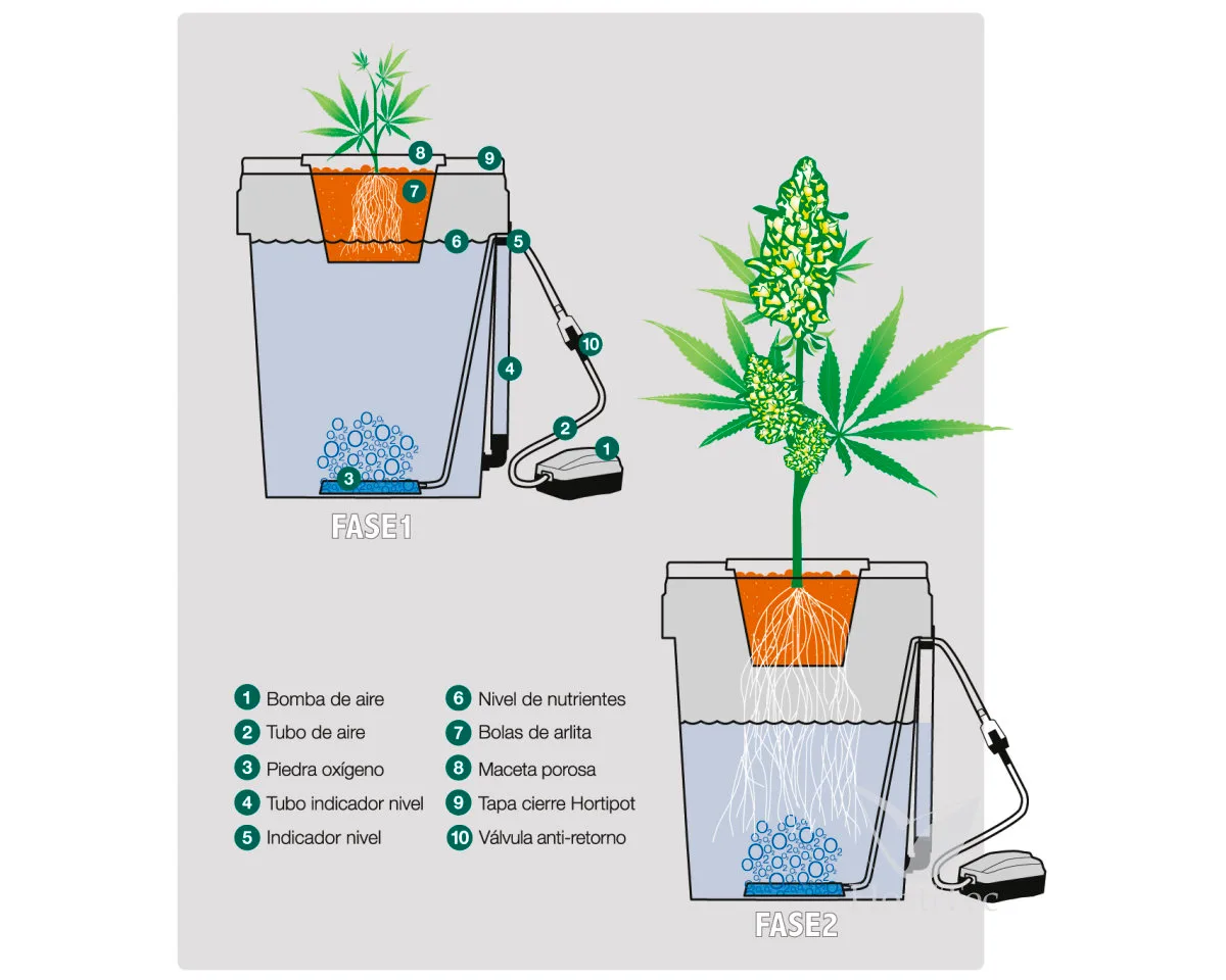 Hortipot - HORTIPOT