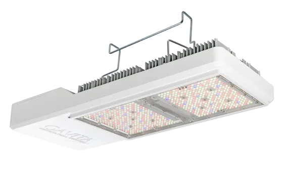 Luminaria CT 2000e LED 230-400V UE - GAVITA