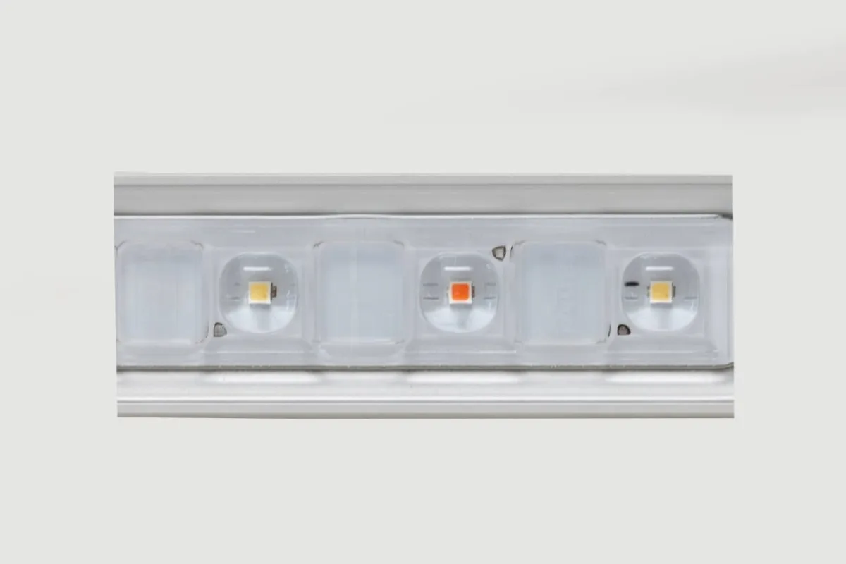 LED Flex 10 - SANLIGHT