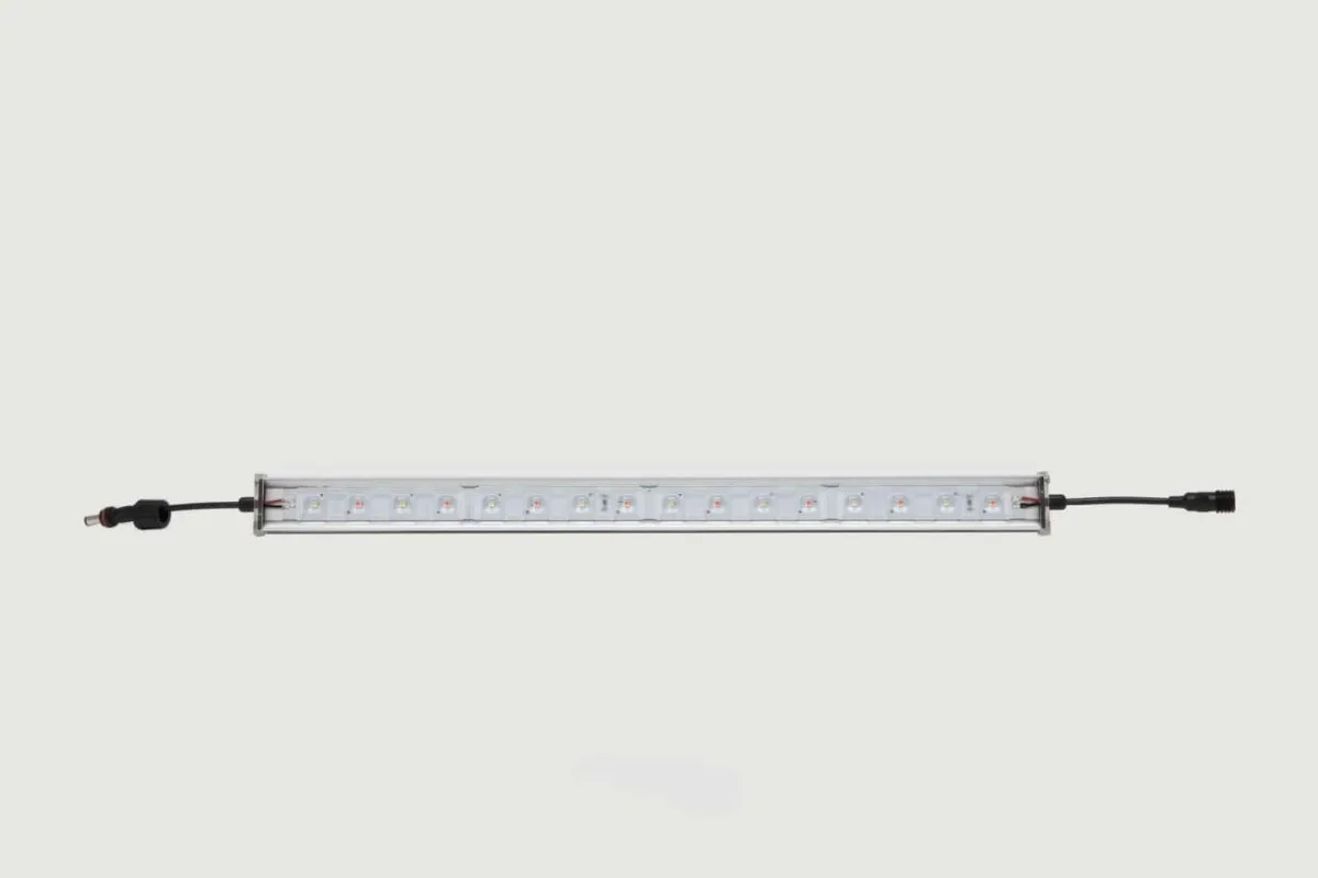 LED Flex 10 - SANLIGHT