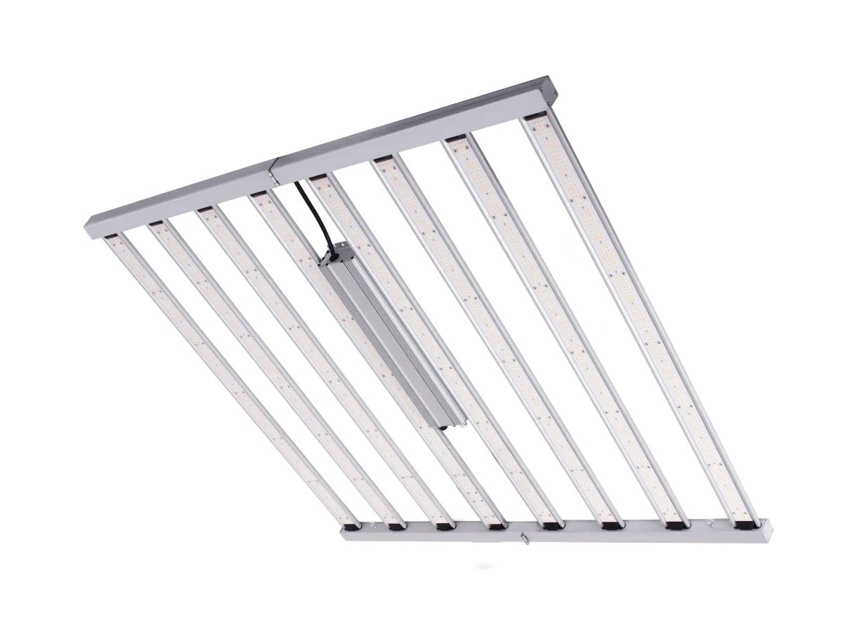 Sistema LED Spider King 1000 W - Vanguard hydroponics