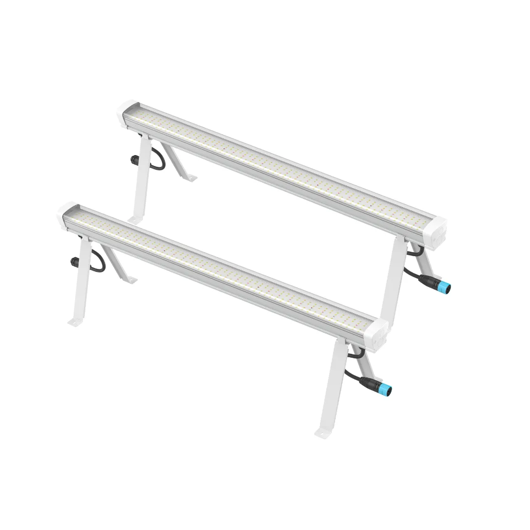 Under Canopy LED - SOLUX