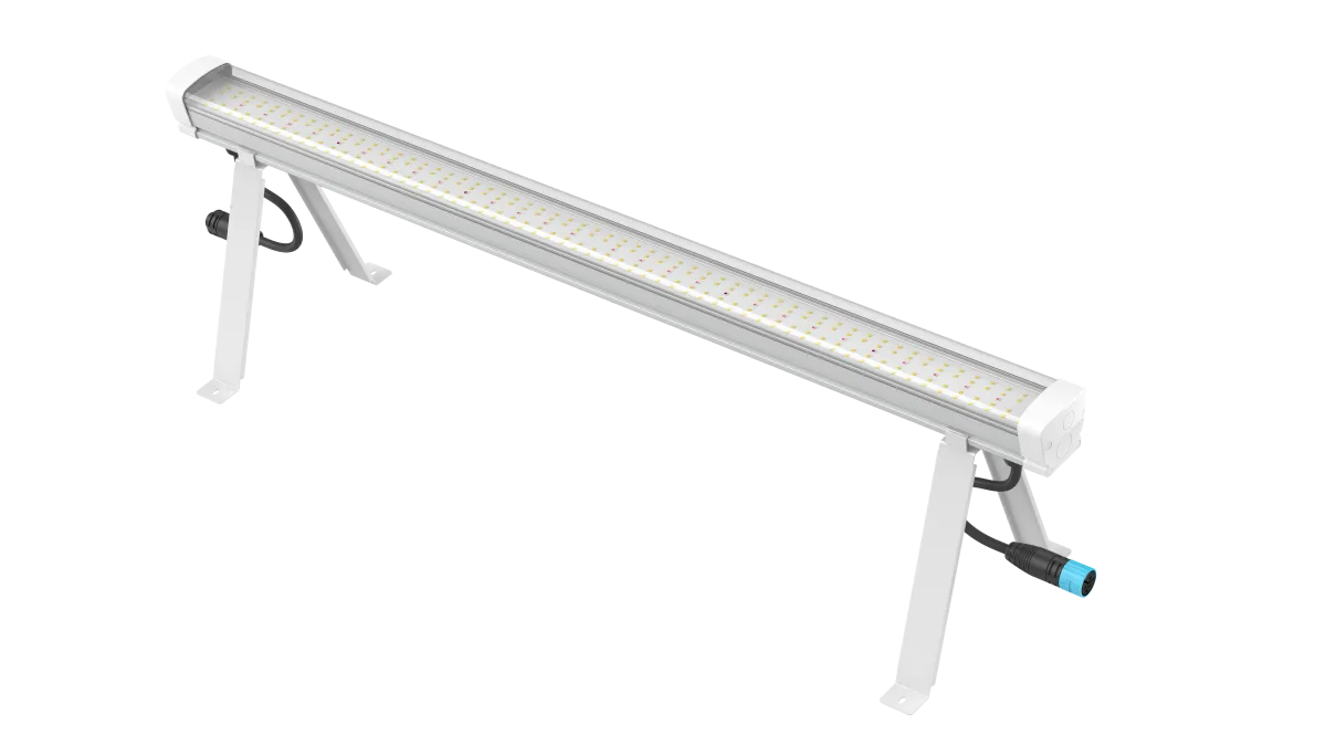 Under Canopy LED - SOLUX