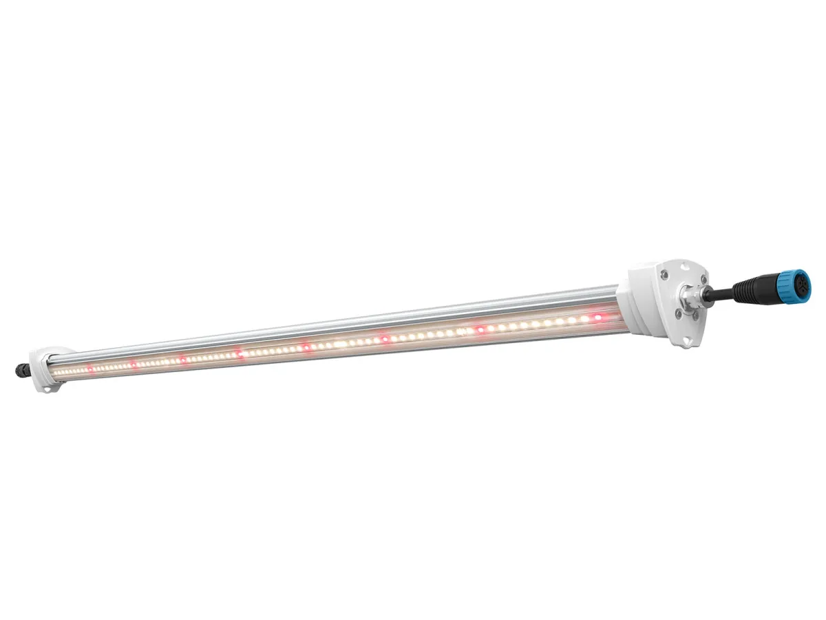 Inter Canopy LED - SOLUX