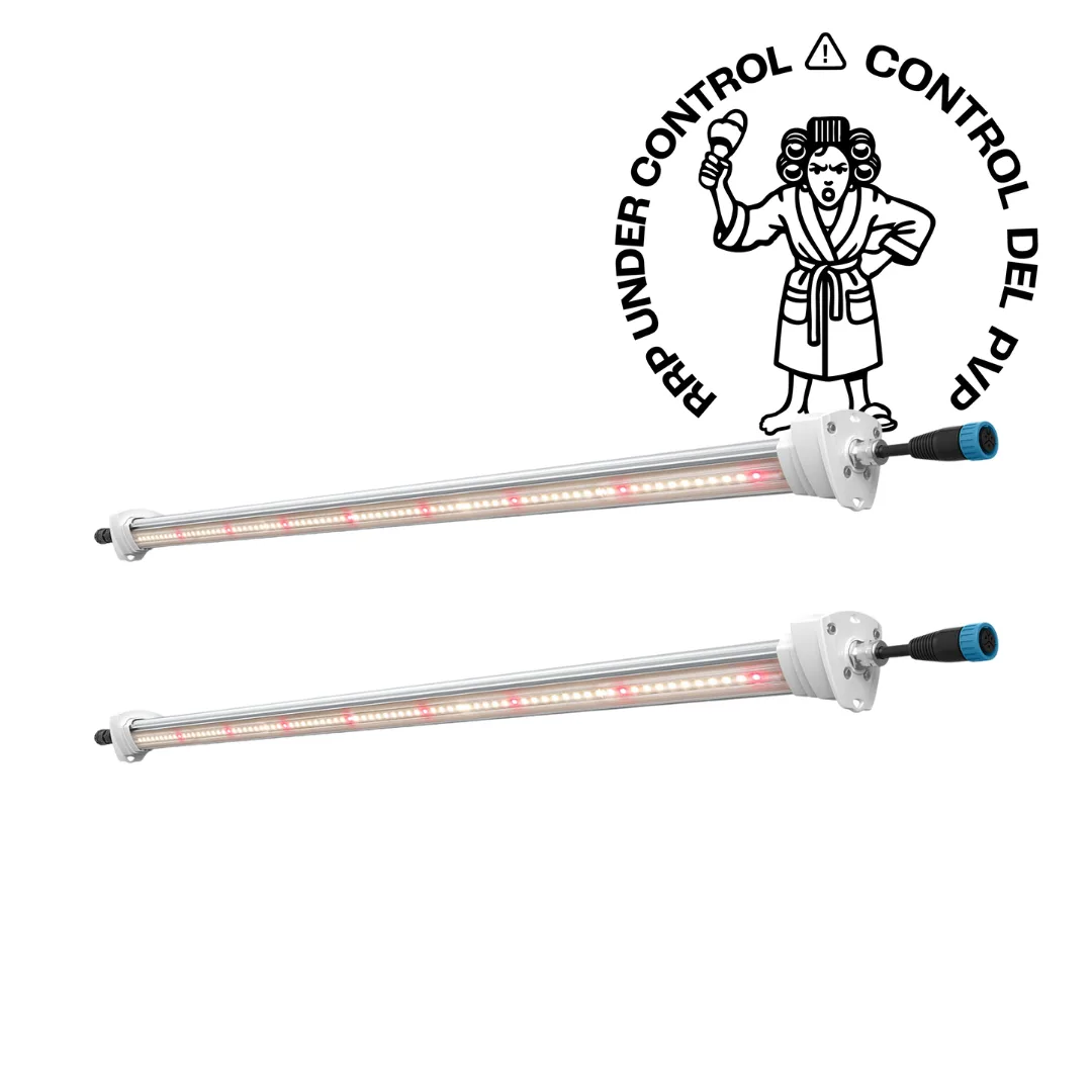 Inter Canopy LED - SOLUX