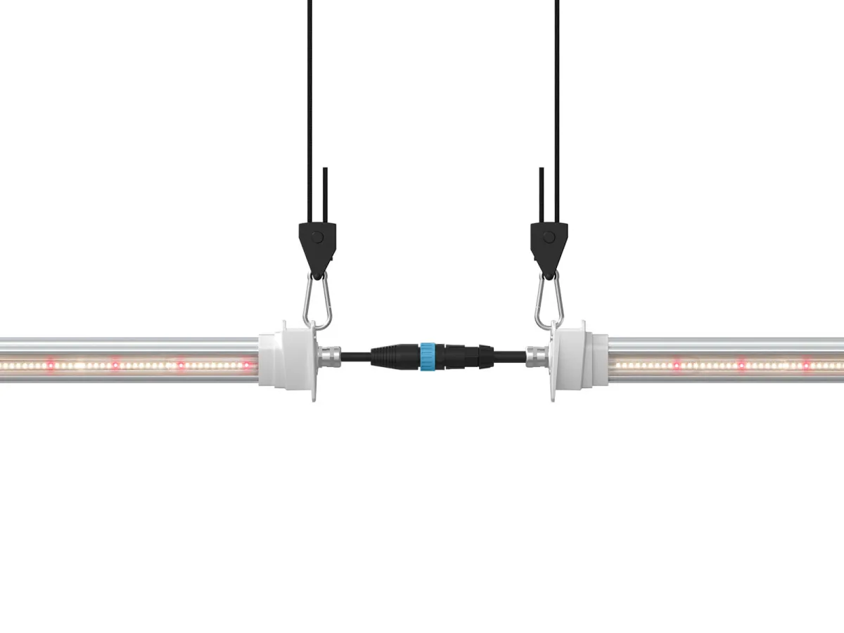 Inter Canopy LED - SOLUX