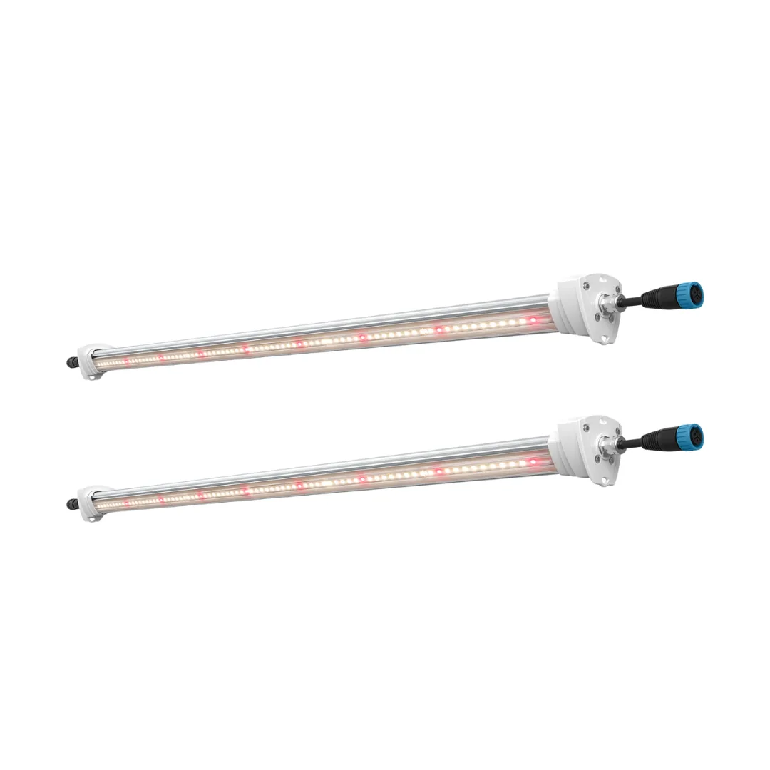 Inter Canopy LED - SOLUX