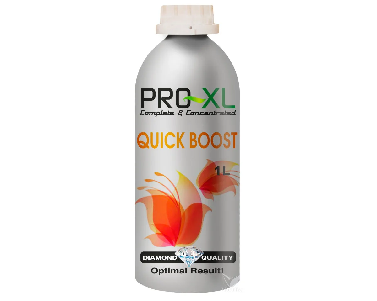Quick boost 1 l - PRO-XL