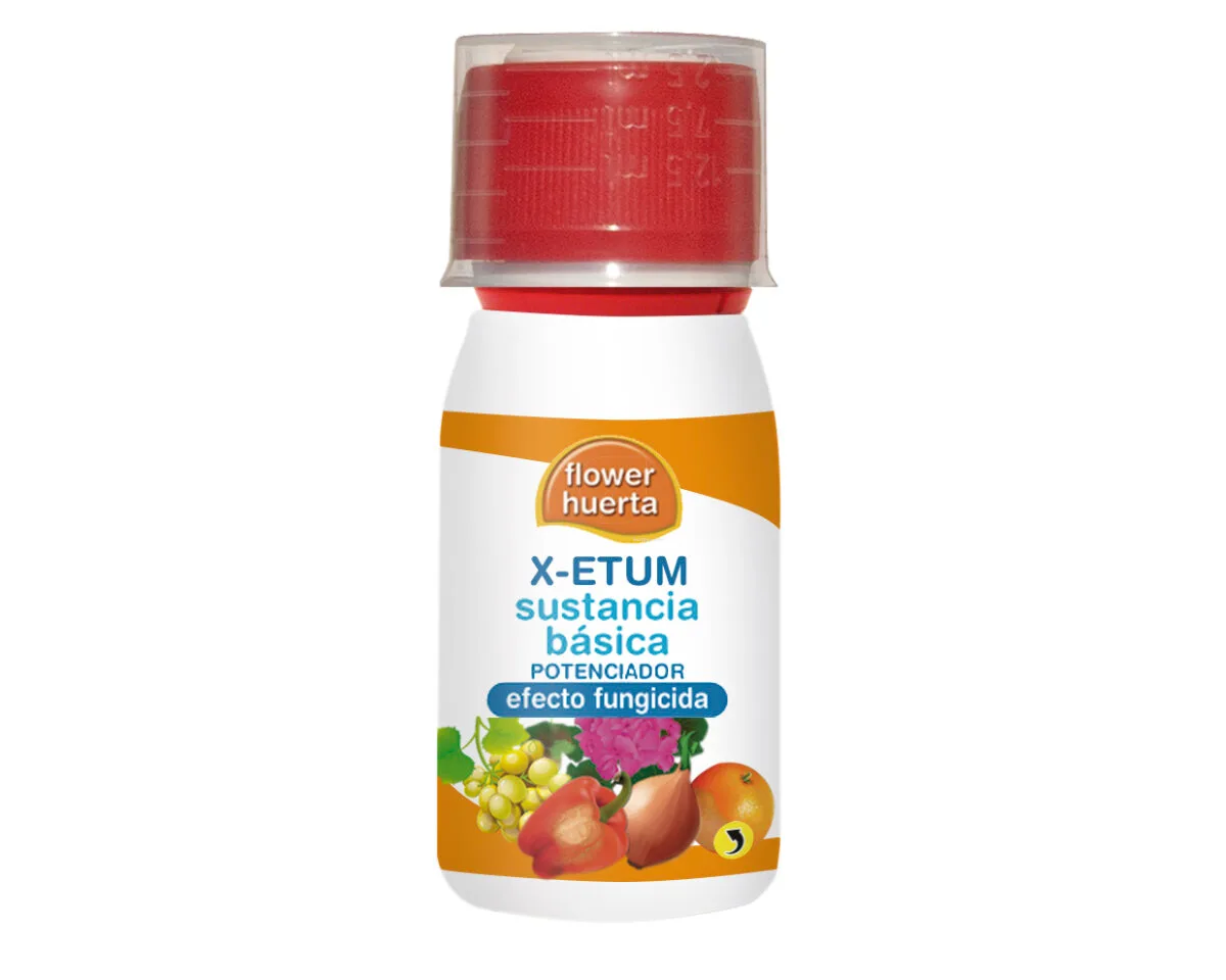 X-etum - Flower
