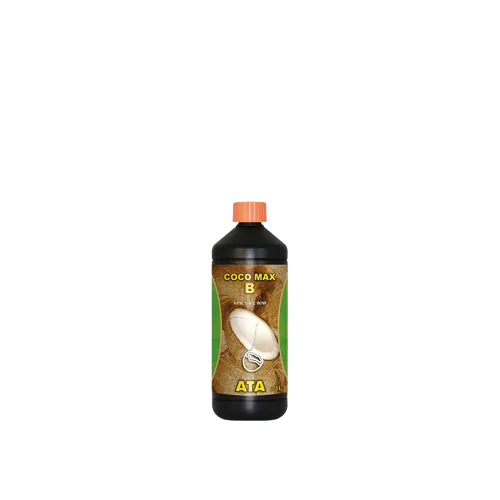 Coco Max B 1 L Atami - Atami®