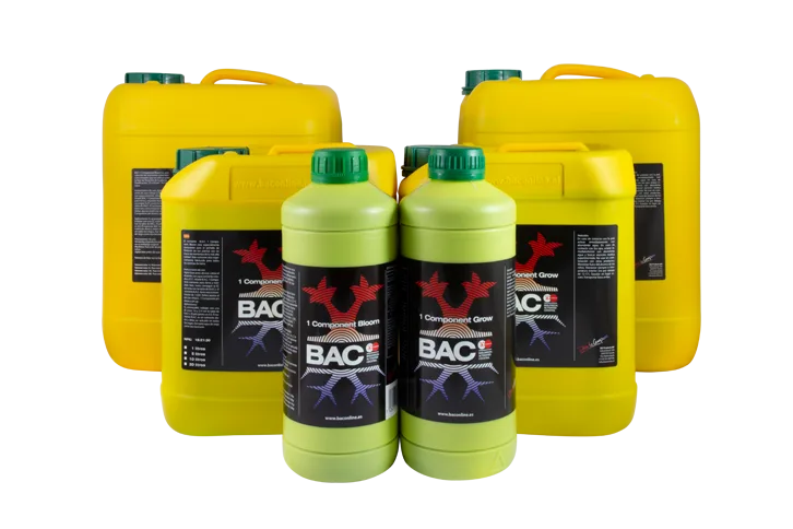 Coco A Bloom 1 L BAC - BAC