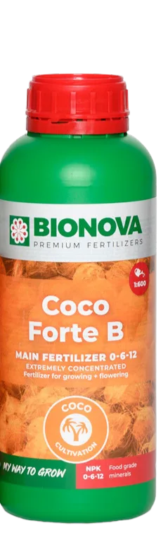 Coco Forte B 1 L Bionova - BIO NOVA