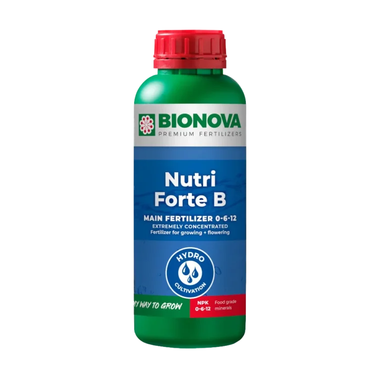 Nutri Forte B 20 L Bionova - BIO NOVA