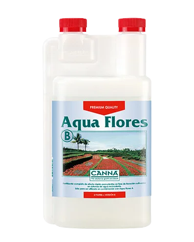 Aqua flores B 5 L - Canna