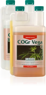 Cogr vega B - Canna