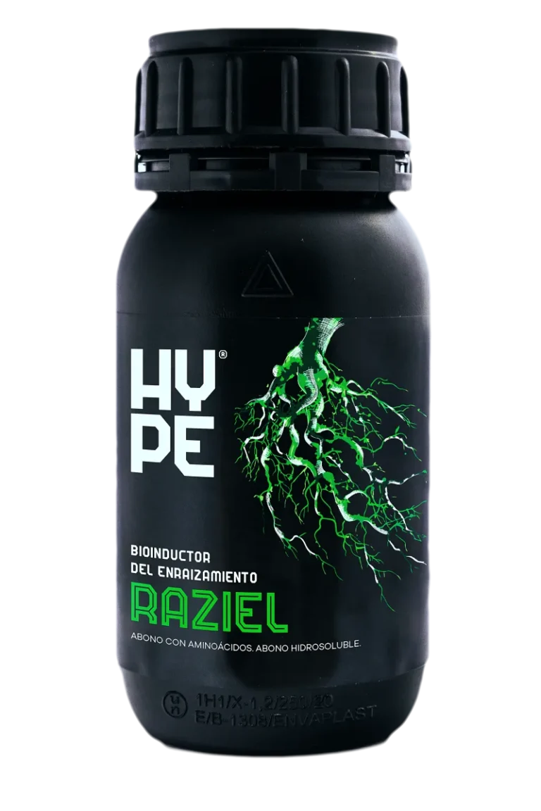 Raziel 200 g The hype Company - The Hype Company