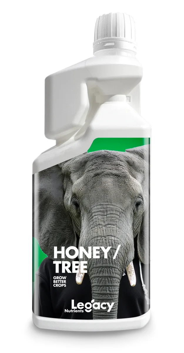 Honey Tree 250ml Legacy - Legacy