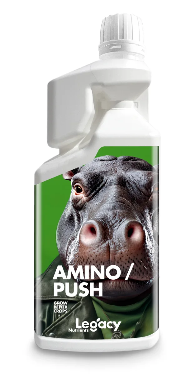Aminopush 250 ml Legacy - Legacy