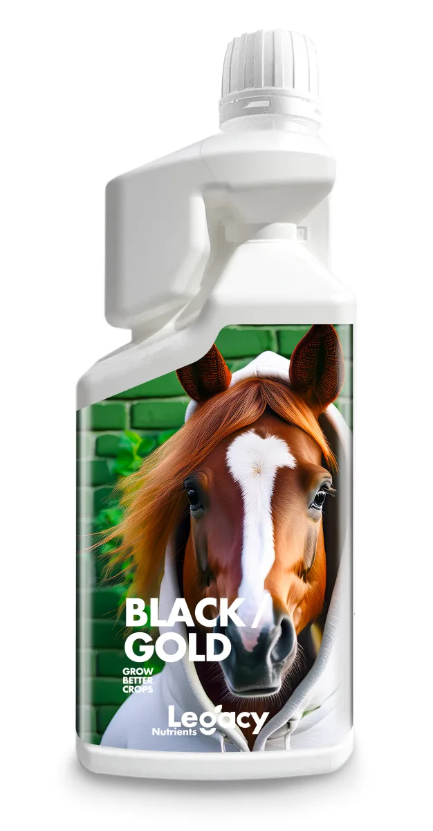 Black Gold 250ml Legacy - Legacy