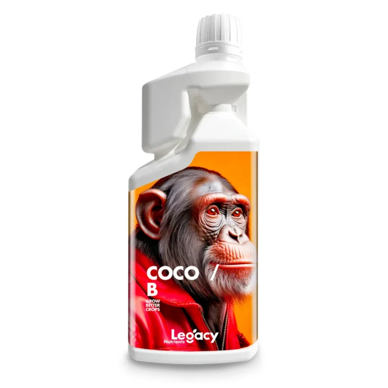 Coco B 1 L Legacy - Legacy