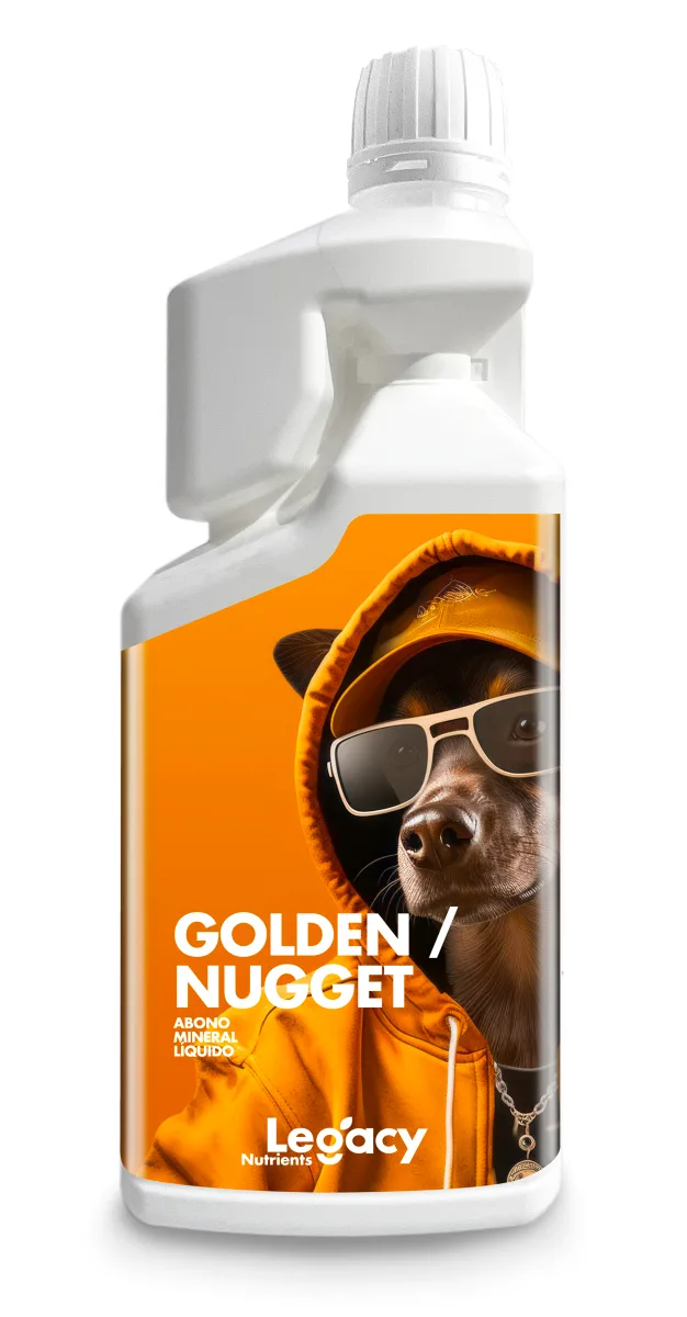 Golden Nugget 250 ml Legacy - Legacy
