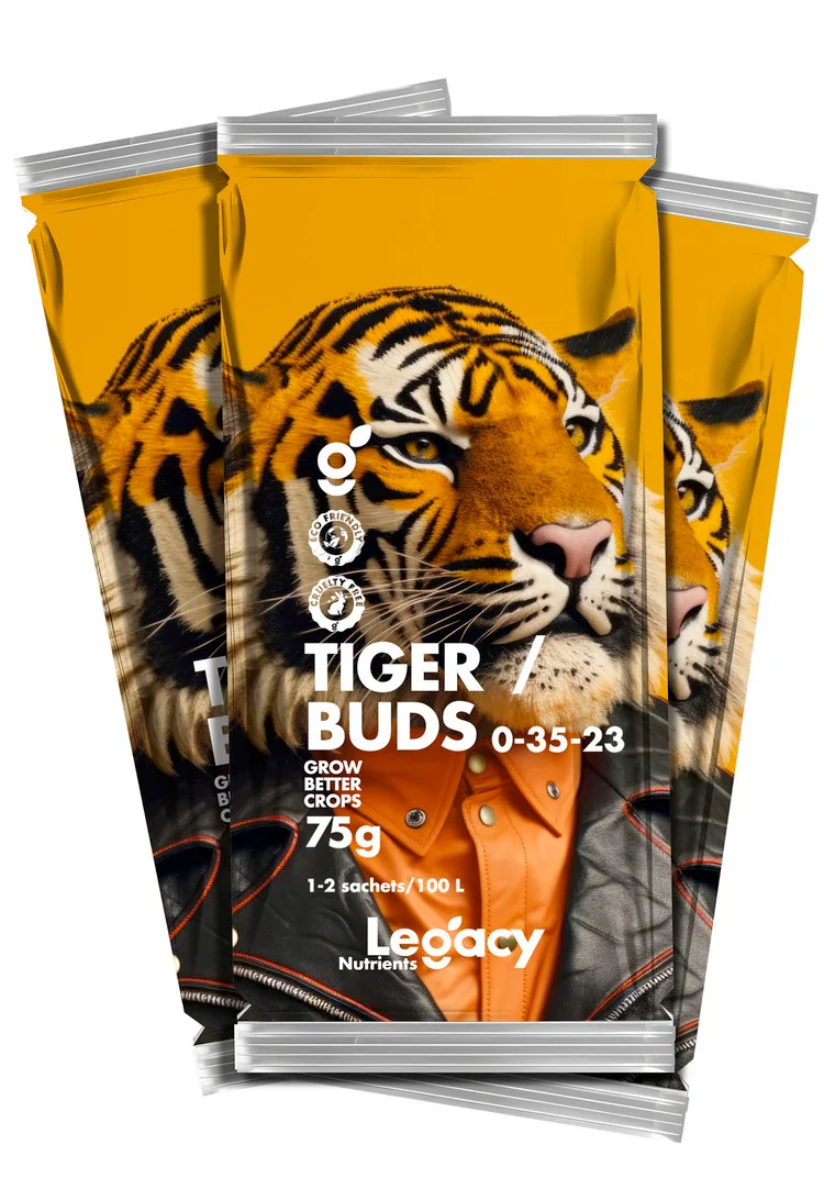 Tiger Buds 75 gr (5 u) Legacy - Legacy