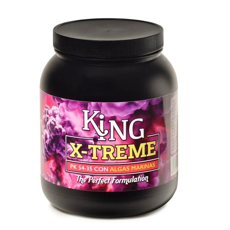King X-treme 1 kg Trabe - Trabe