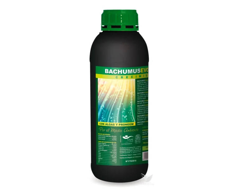 Bachumus evolution-c 1 l - Trabe