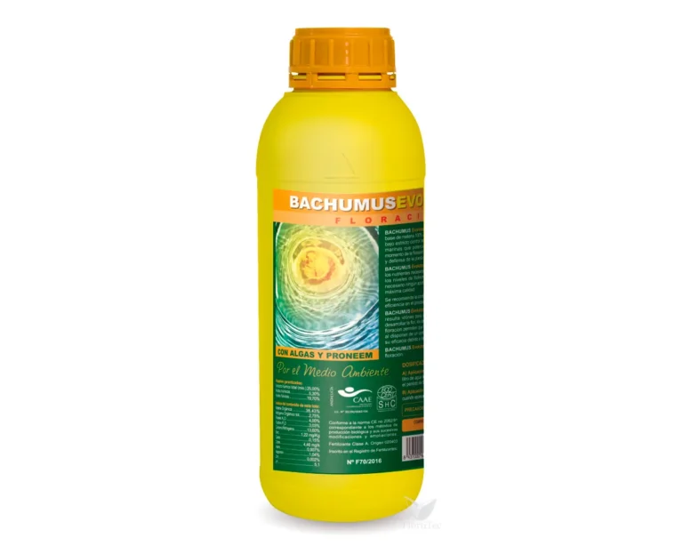 Bachumus evolution-f 1 l - Trabe