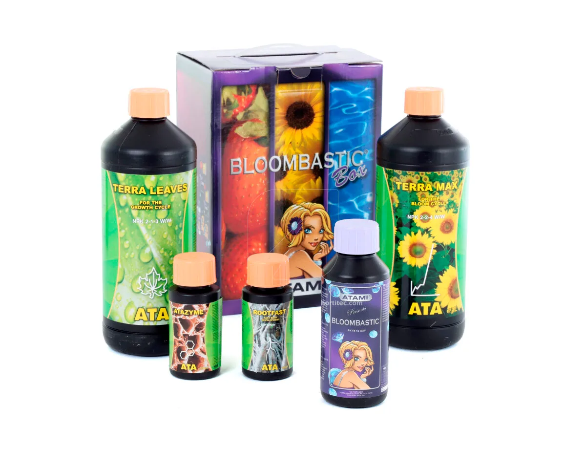 ATA/Terra Bloombastic Box - Atami®