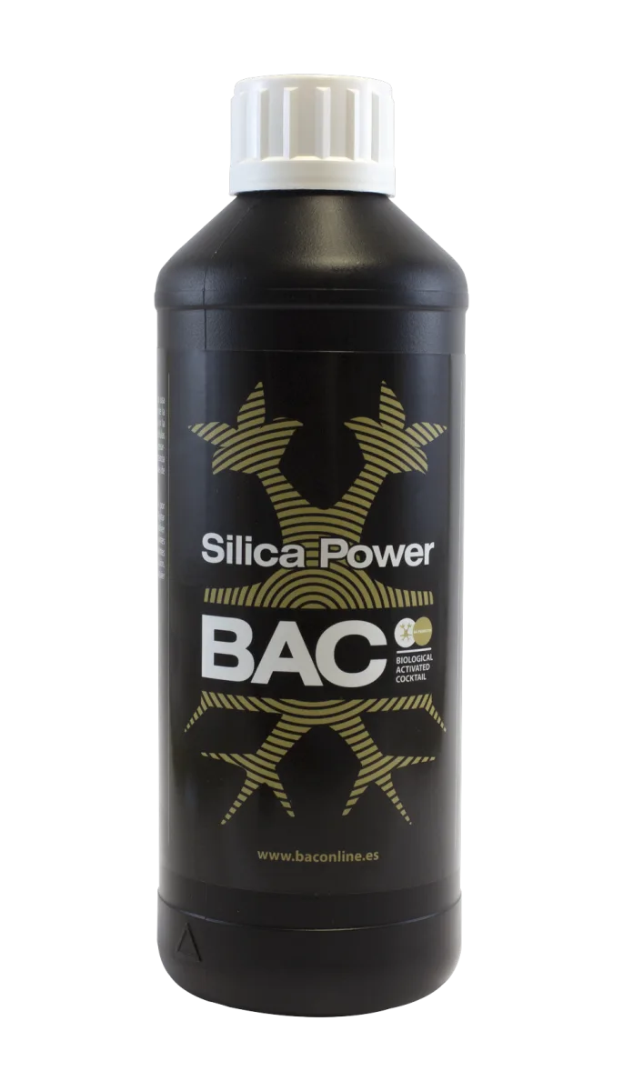 Silica power 500 ml BAC - BAC
