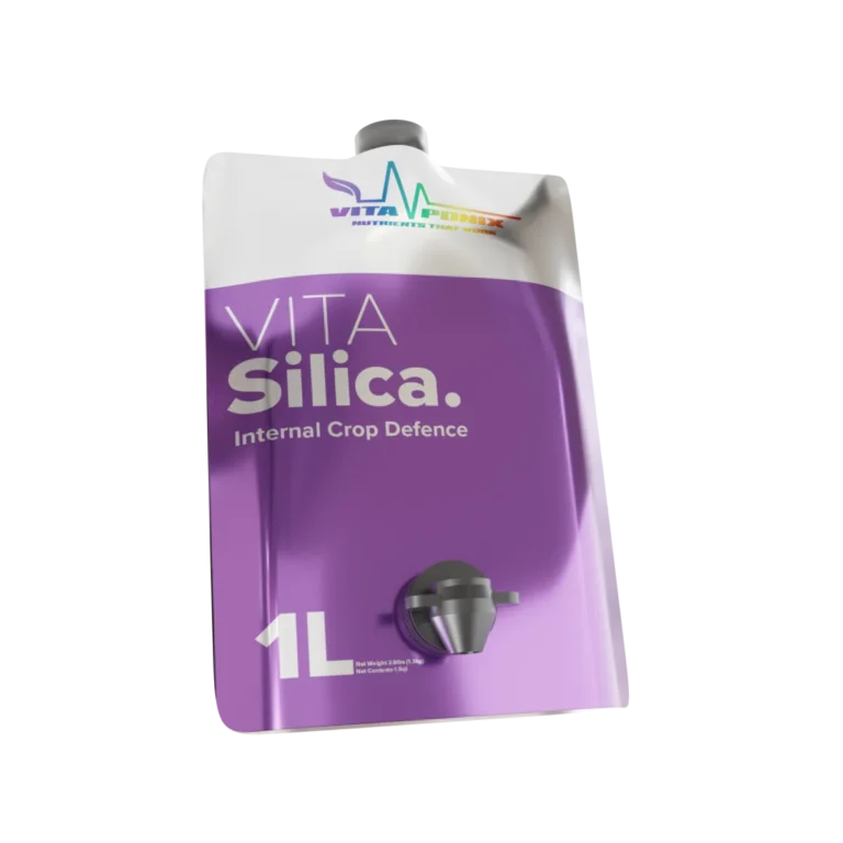 Vitasilica 250 ml Vitaponix - VITAPONIX