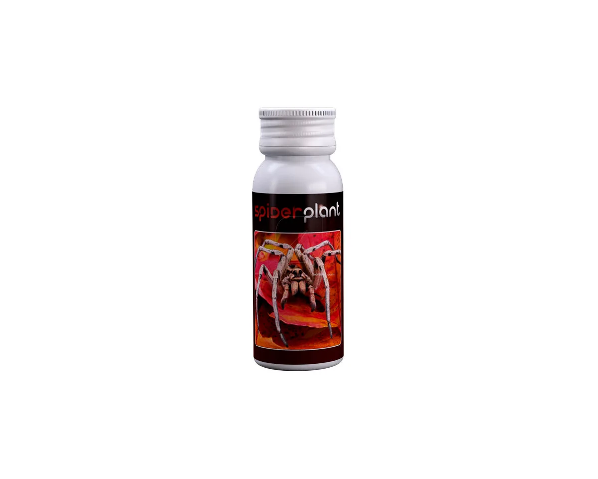 Spider Plant 15 ml - Agrobacterias