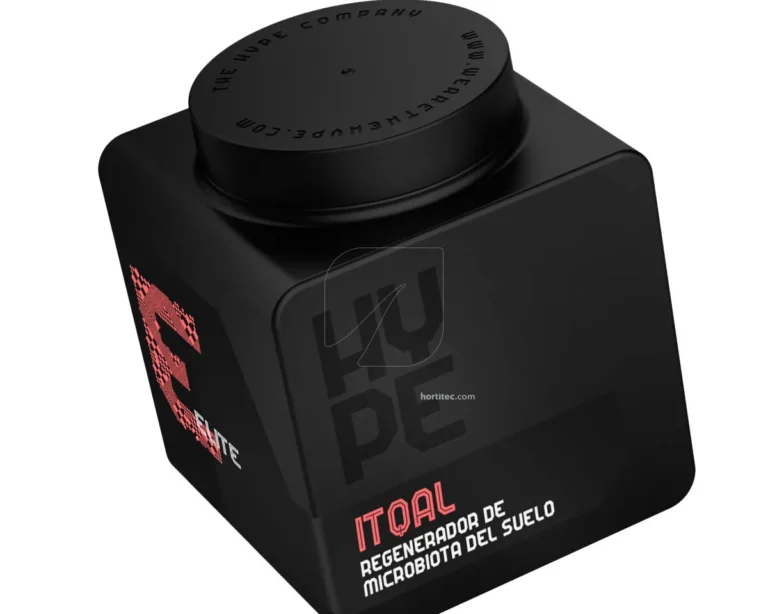 Itqal 1.25 L The Hype Company - The Hype Company